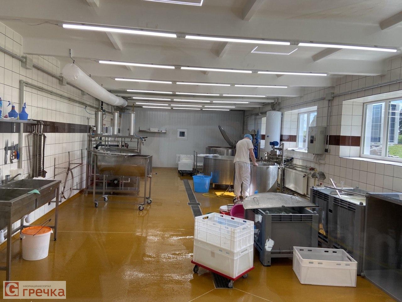 watermarked koza14