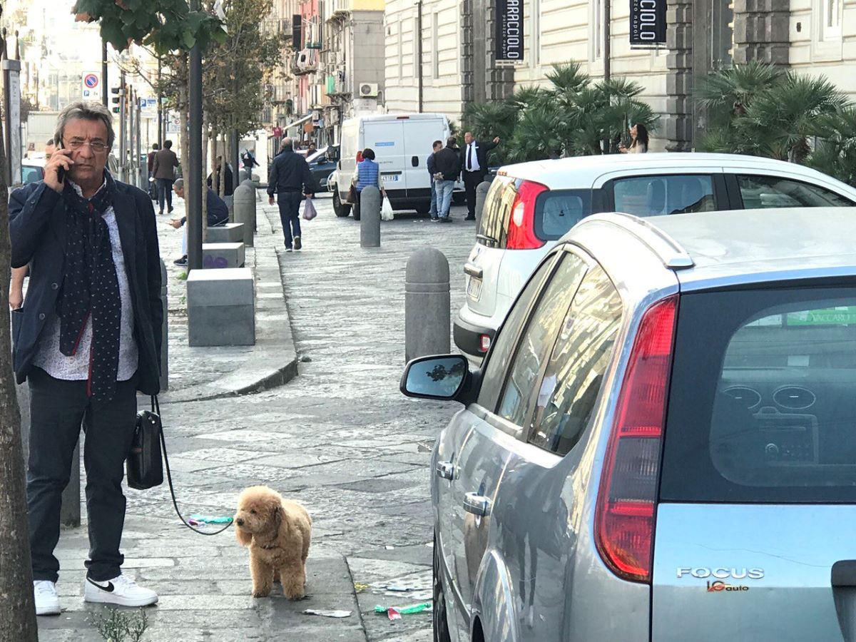 Sobaku Italiya2
