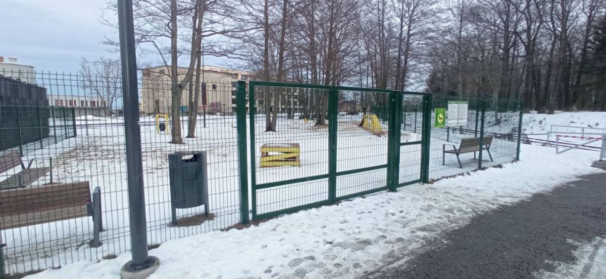 maidan4uk vugul sobak2