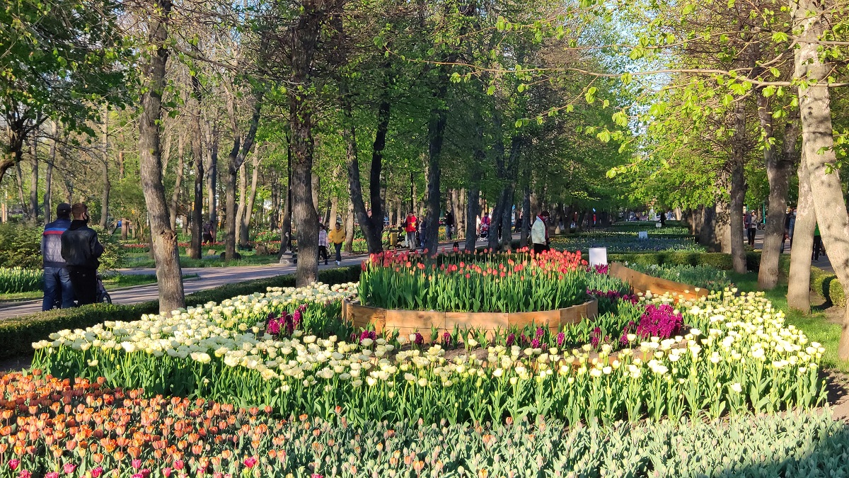 IMG 20210504 183409