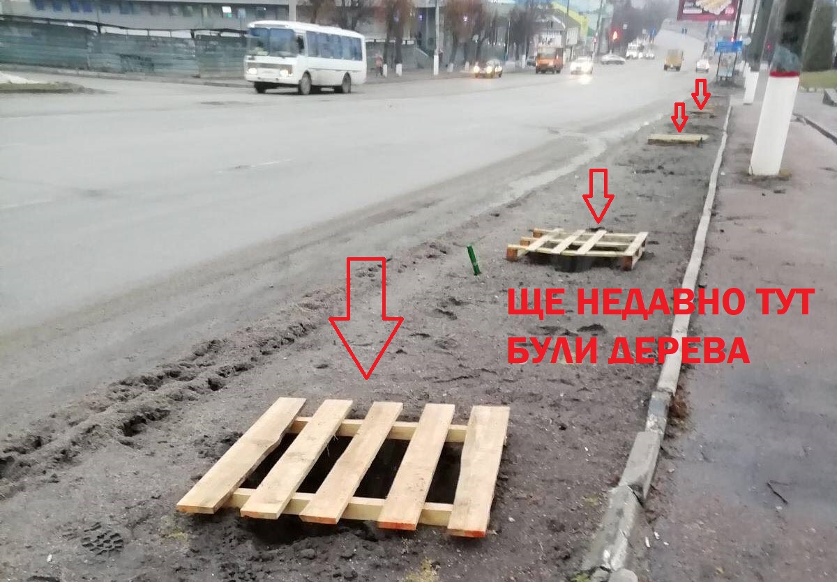273024577 335826401796555 312234337103679242 n копія