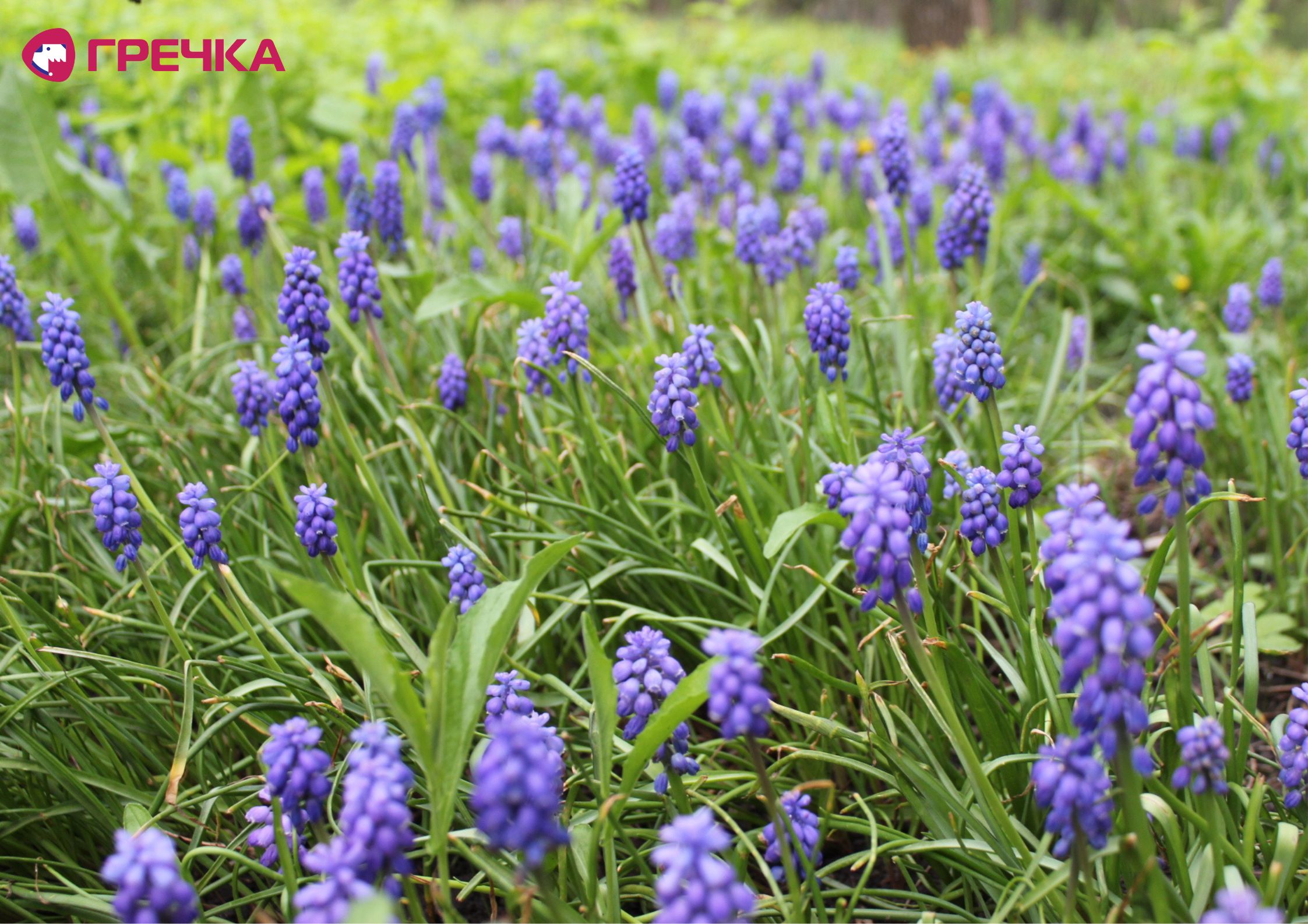 Для маркування Прямокутник 32 copy copy copy