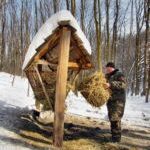 Кіровоград. Молодіжний журнал "Гречка" www.gre4ka.com.ua [Диким тваринам допомагають пережити морози]