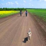 Кіровоград. Молодіжний журнал "Гречка" www.gre4ka.com.ua Кіровоградщина в фотороботах - запропонуй свою!