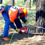 Кіровоград. Молодіжний журнал "Гречка" www.gre4ka.com.ua В Олександрівці змагалися лісоруби!(ФОТО)