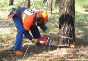 Кіровоград. Молодіжний журнал "Гречка" www.gre4ka.info В Олександрівці змагалися лісоруби!(ФОТО) Кіровоград. Молодіжний журнал "Гречка" www.gre4ka.info В Олександрівці змагалися лісоруби!(ФОТО)
