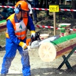 Кіровоград. Молодіжний журнал "Гречка" www.gre4ka.com.ua В Олександрівці пилятимуть ліс!