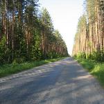 Кіровоград. Молодіжний журнал "Гречка" www.gre4ka.com.ua Дороги чи ліси? Вибір Кіровоградщини