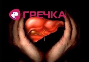 1355755345 1294206789 1261397939 liver-main