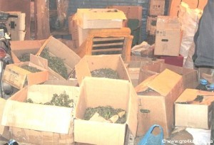 Кіровоград. Молодіжний журнал "Гречка" www.gre4ka.info Наркоділку з Кіровограда світить 12 років позбавлення волі(ФОТО)   