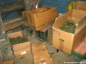 Кіровоград. Молодіжний журнал "Гречка" www.gre4ka.info Наркоділку з Кіровограда світить 12 років позбавлення волі(ФОТО)   