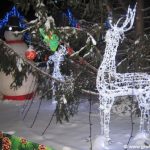 IMG 7585