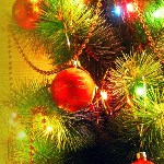 Кіровоград. Молодіжний журнал "Гречка" www.gre4ka.com.ua Кіровоградці побачать парад ялинок