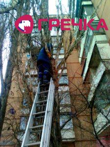 giilk1