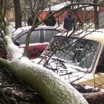 padder1