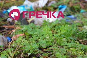 www.gre4ka.info - Інформаційний портал