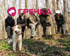 gre4ka dog
