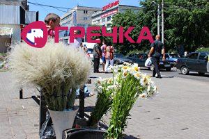 www.gre4ka.info - Інформаційний портал Гречка.У Кіровограді торгують червонокнижними рослинами, які приносять нещастя(ФОТО).