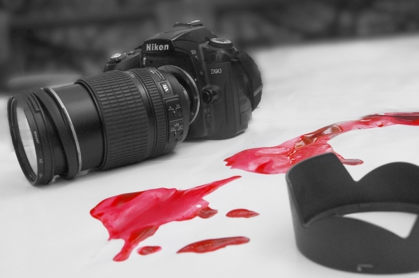 www.gre4ka.info - Інформаційний портал Гречка.Кіровоград: виставка фоторобіт Анастасії Шкоди(ФОТО).