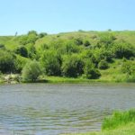 www.gre4ka.info - Інформаційний портал Гречка.Південний Буг: місяць мовчанки від влади!.