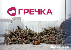 www.gre4ka.info - Інформаційний портал Гречка.