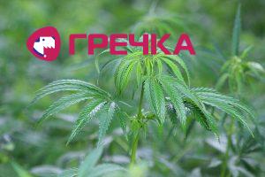 www.gre4ka.info - Інформаційний портал
