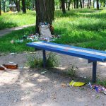 www.gre4ka.info - Інформаційний портал Гречка. Традиційна лінія Кіровограда – сміттєва(ФОТО).