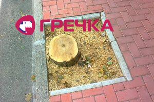 Кіровоград. Інформаційний портал