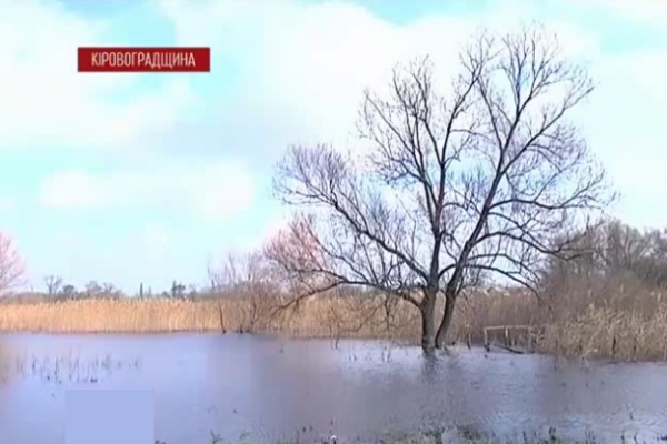 Кіровоград. Інформаційний портал