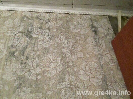www.gre4ka.info www.gre4ka.info