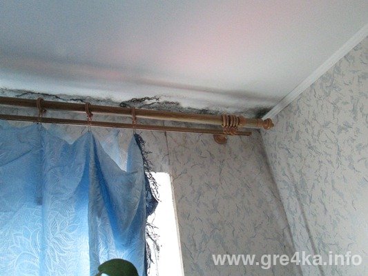 www.gre4ka.info www.gre4ka.info
