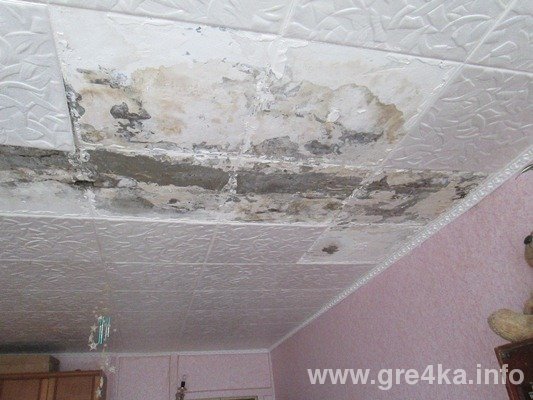 www.gre4ka.info www.gre4ka.info