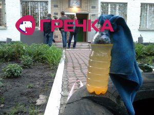 www.gre4ka.info