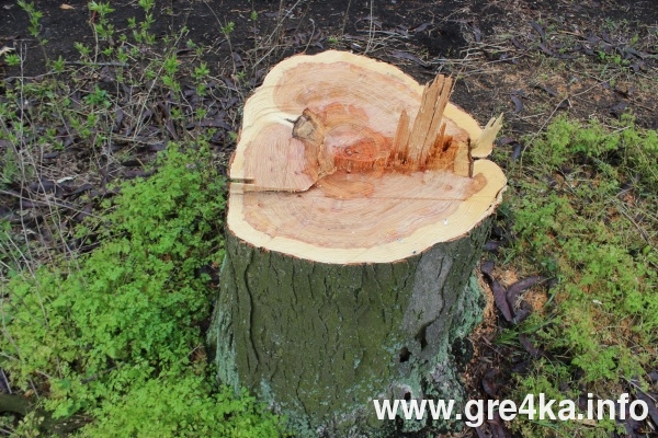 www.gre4ka.info