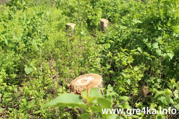 www.gre4ka.info