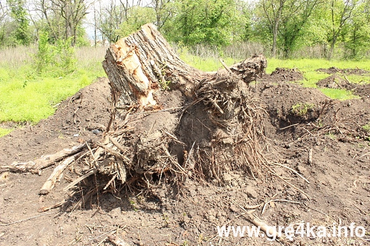 www.gre4ka.info