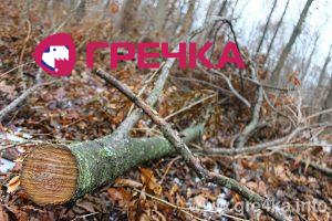 www.gre4ka.info