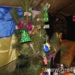 www.gre4ka.info