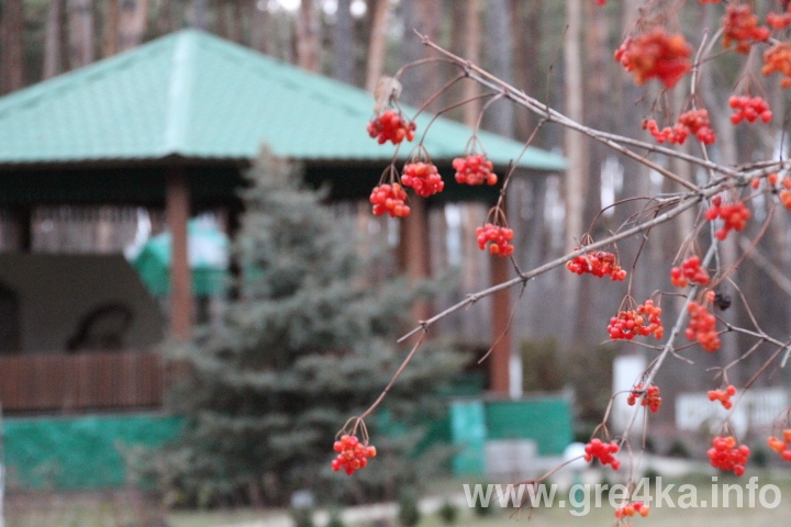 www.gre4ka.info
