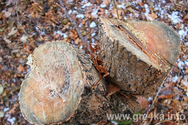 www.gre4ka.info