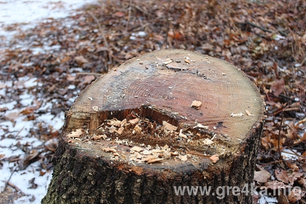 www.gre4ka.info
