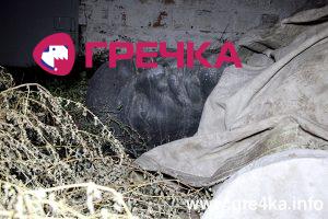www.gre4ka.info
