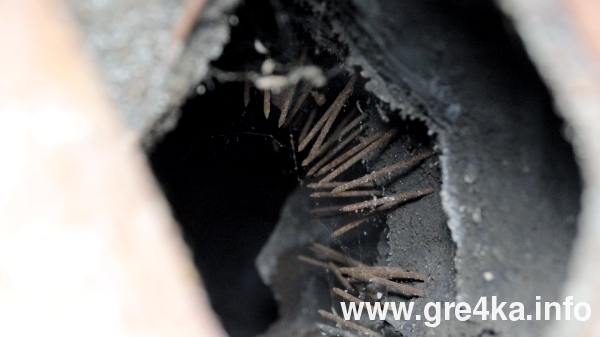 www.gre4ka.info