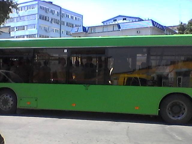 avt1