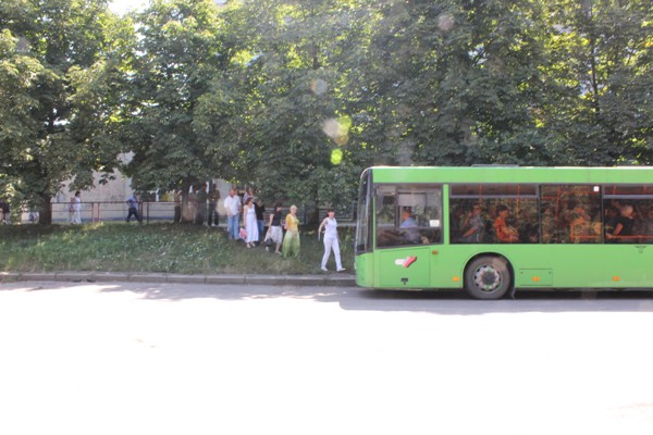 mt6
