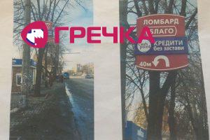 P 20160721 094606 1 p