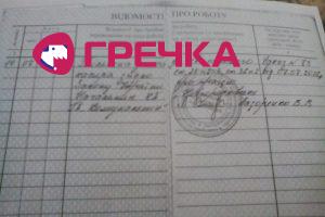 SXk8Q824hBU
