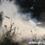 watermarked voggg1