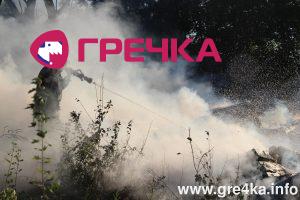 watermarked voggg1