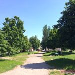 1465501163 mafy svitlovodsk 11